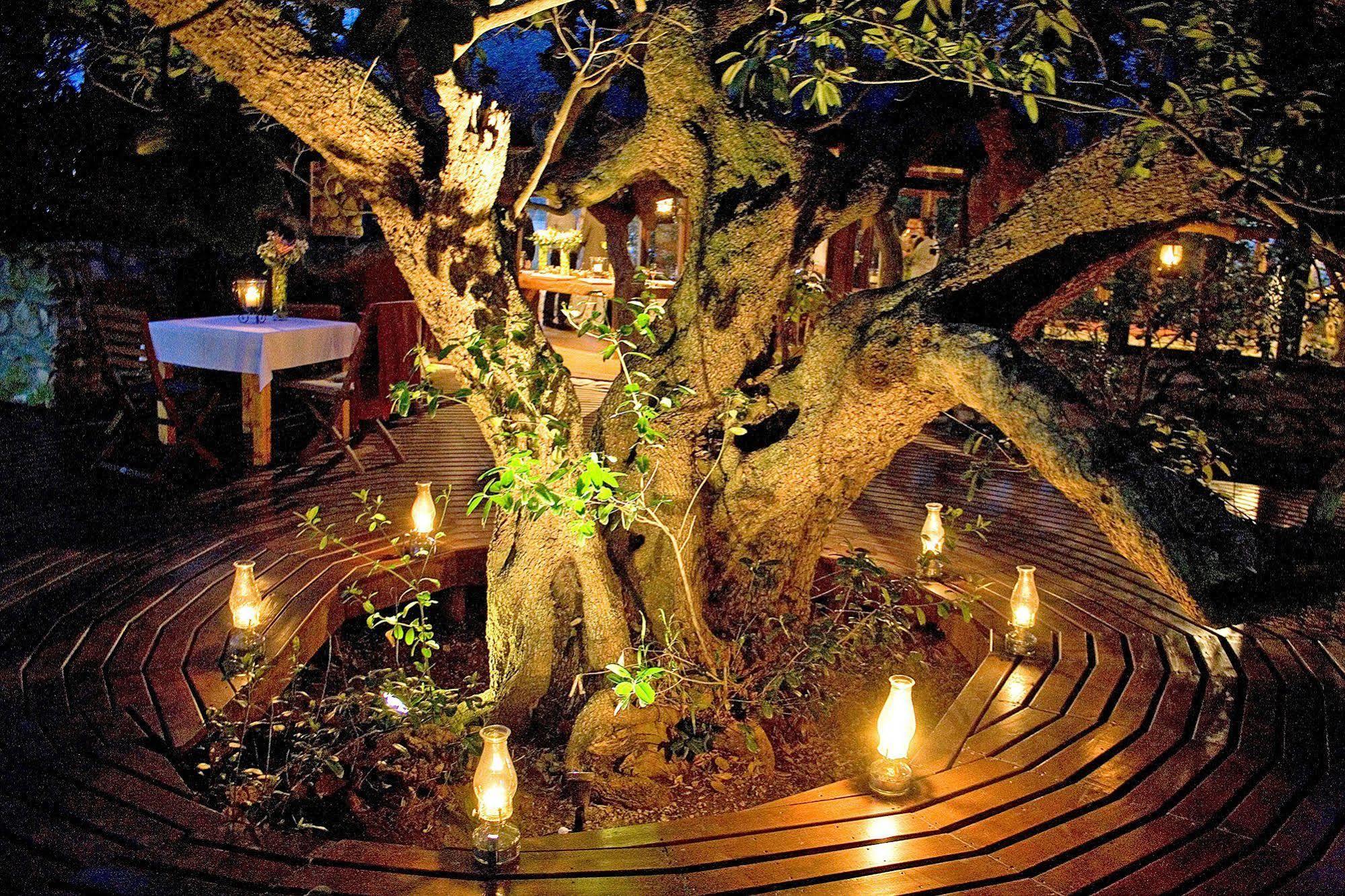 Mosaic Lagoon Lodge Stanford Ngoại thất bức ảnh